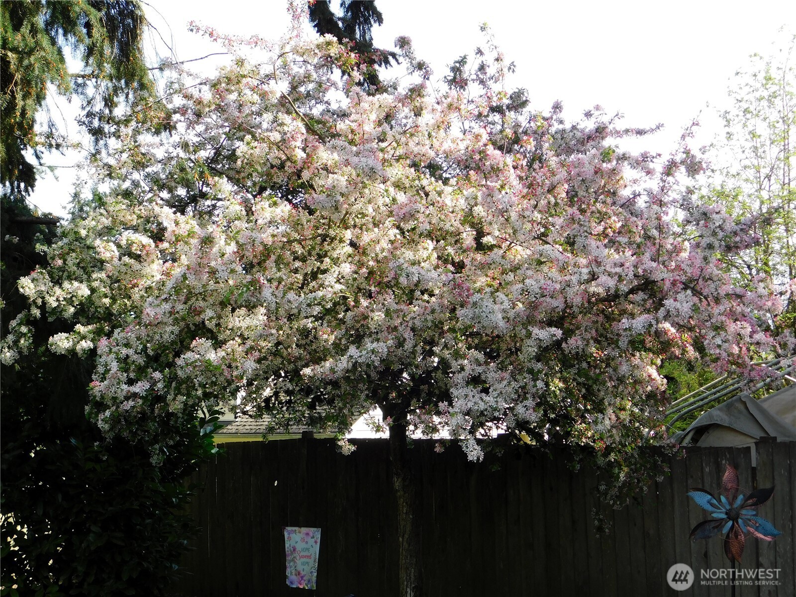 13801 59th Ave SE , Everett, WA 98208