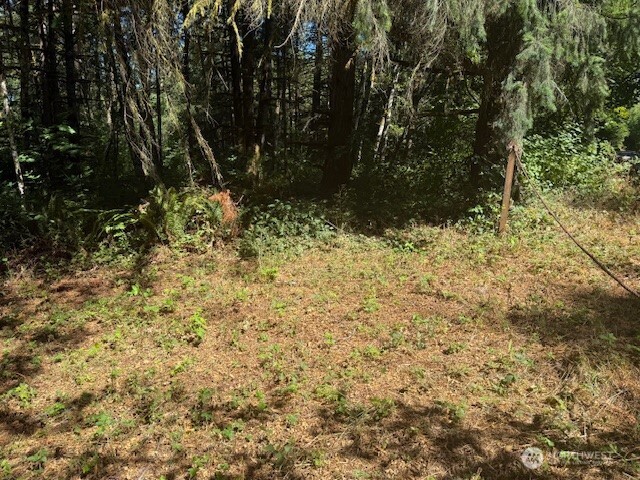 20325 Bucoda Highway SE, Centralia, WA 98531