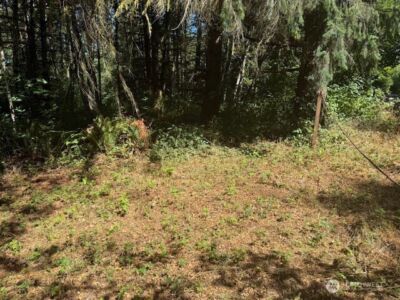 20325 Bucoda Highway SE, Centralia, WA 98531 - Photo 4