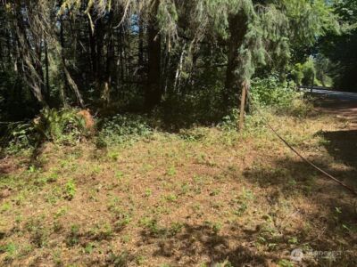20325 Bucoda Highway SE, Centralia, WA 98531 - Photo 5