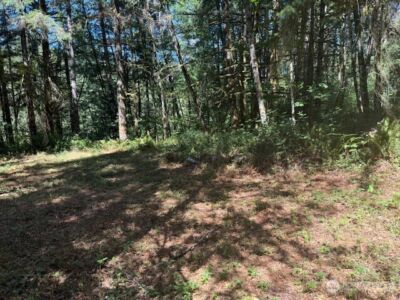 20325 Bucoda Highway SE, Centralia, WA 98531 - Photo 6