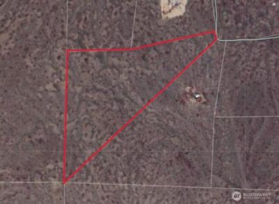 0 Lot 75 , Wilson Creek, WA 98860 - Photo 3