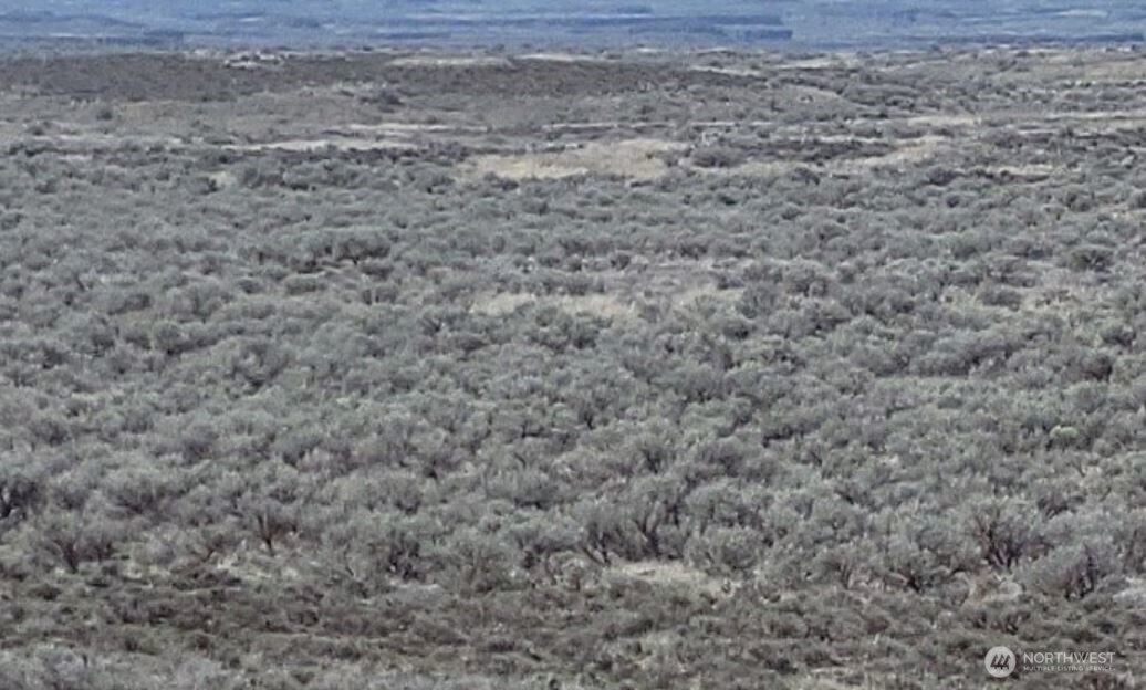 0 Lot 75 , Wilson Creek, WA 98860
