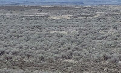 0 Lot 75 , Wilson Creek, WA 98860 - Photo 4