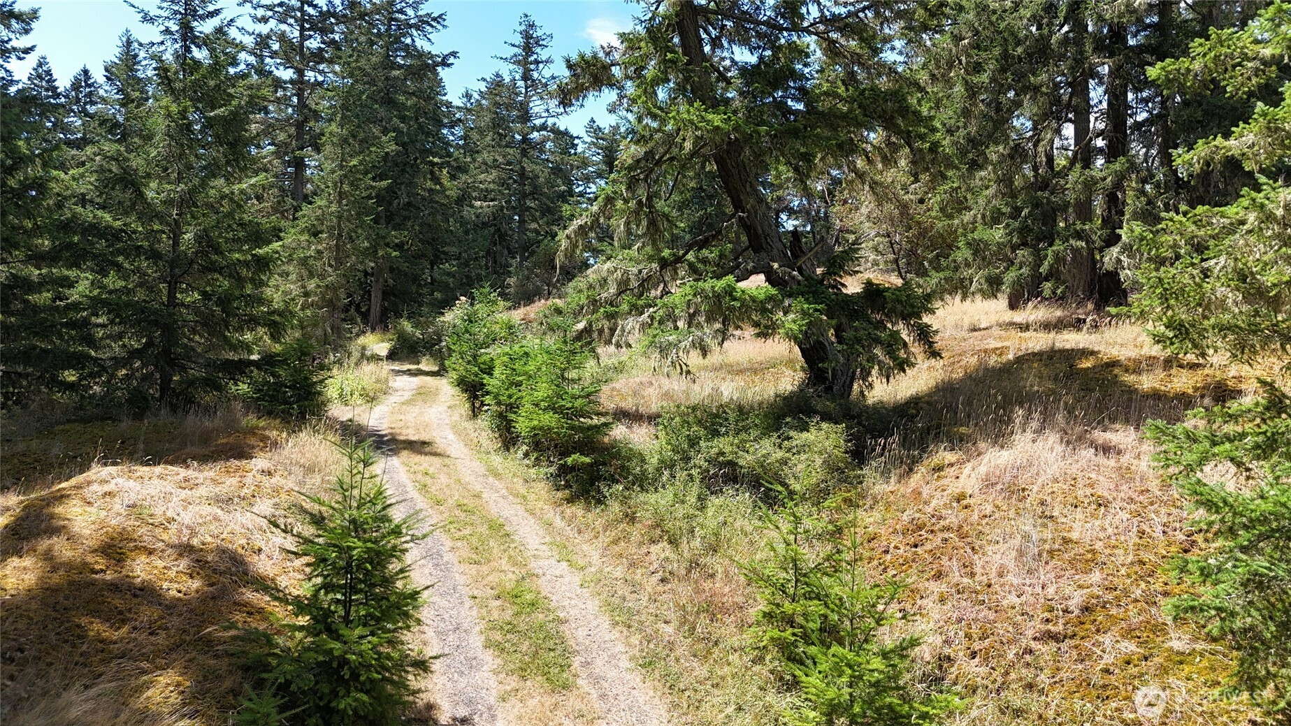 0 Woodpecker Lane , Friday Harbor, WA 98250