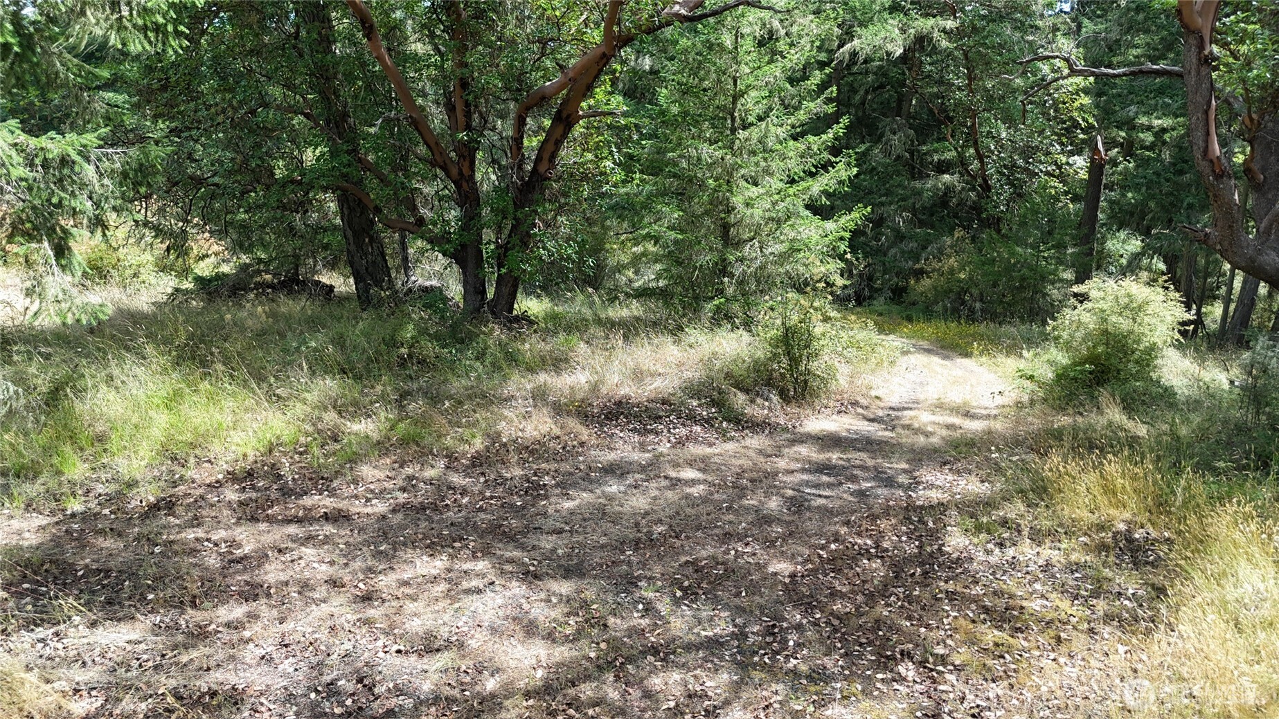 0 Woodpecker Lane , Friday Harbor, WA 98250