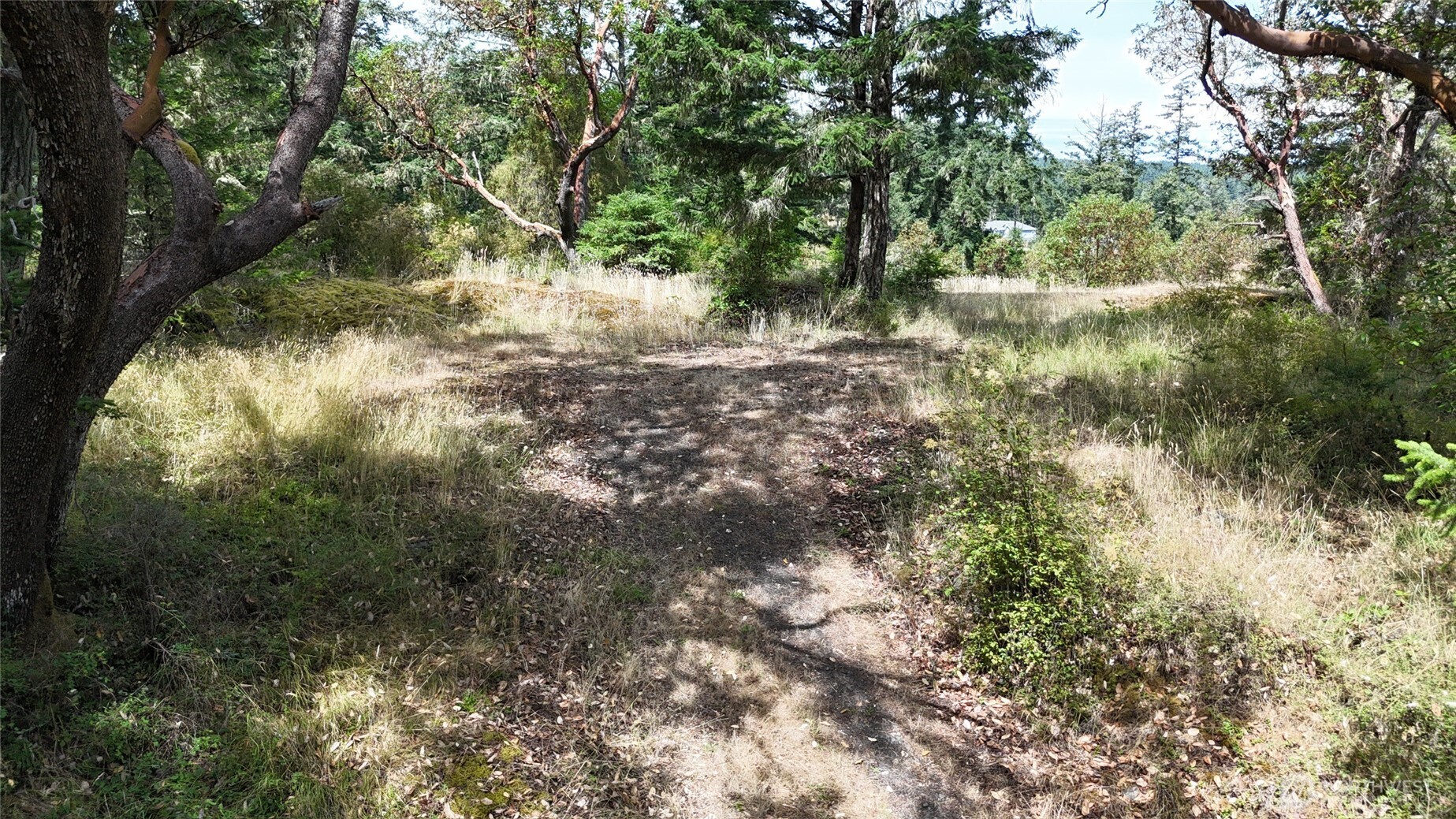 0 Woodpecker Lane , Friday Harbor, WA 98250