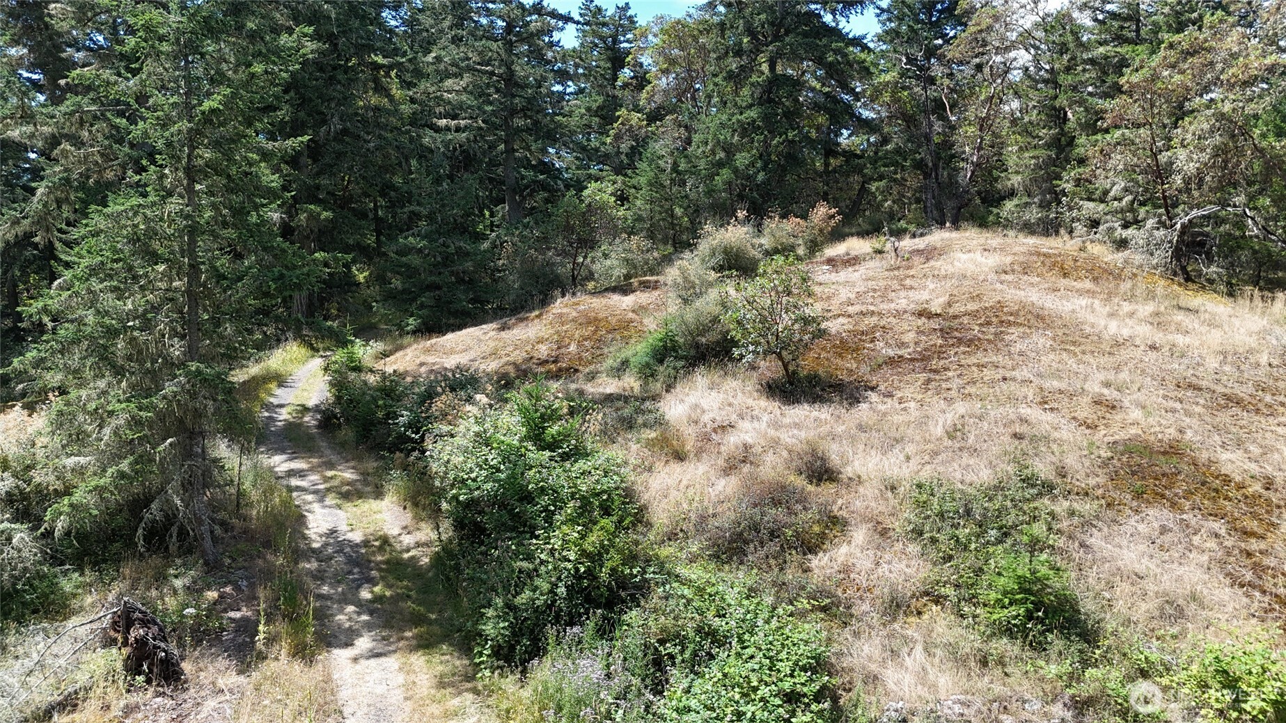 0 Woodpecker Lane , Friday Harbor, WA 98250