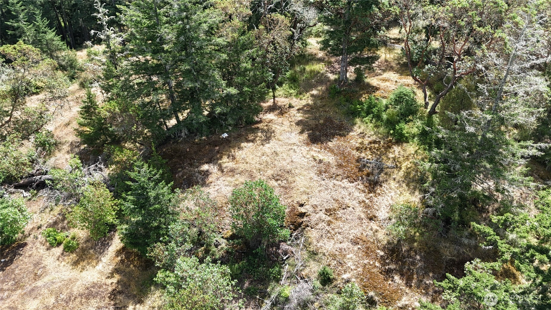0 Woodpecker Lane , Friday Harbor, WA 98250