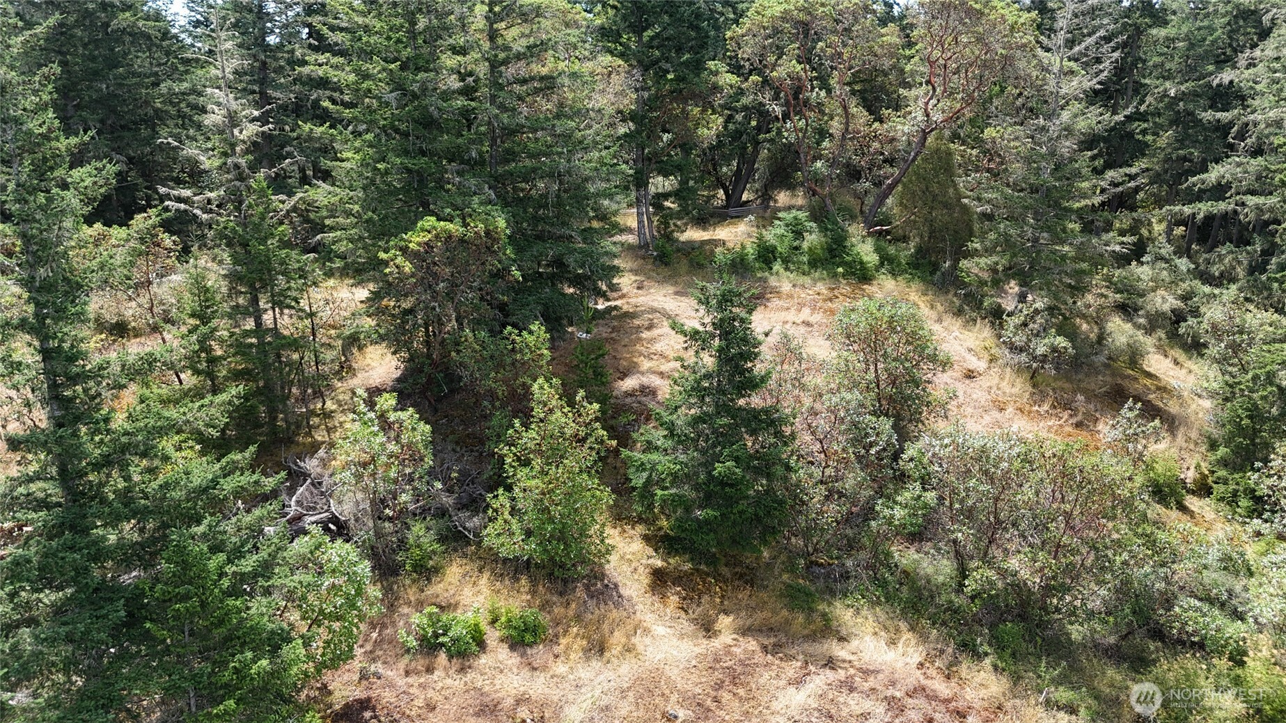 0 Woodpecker Lane , Friday Harbor, WA 98250