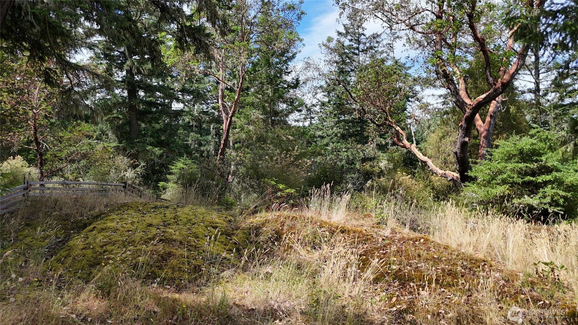 0 Woodpecker Lane , Friday Harbor, WA 98250