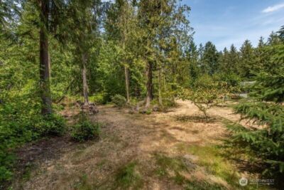 572 Critter Country Trail , Sequim, WA 98382 - Photo 29