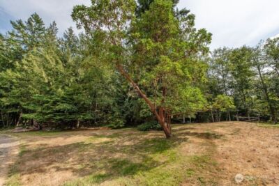 572 Critter Country Trail , Sequim, WA 98382 - Photo 35