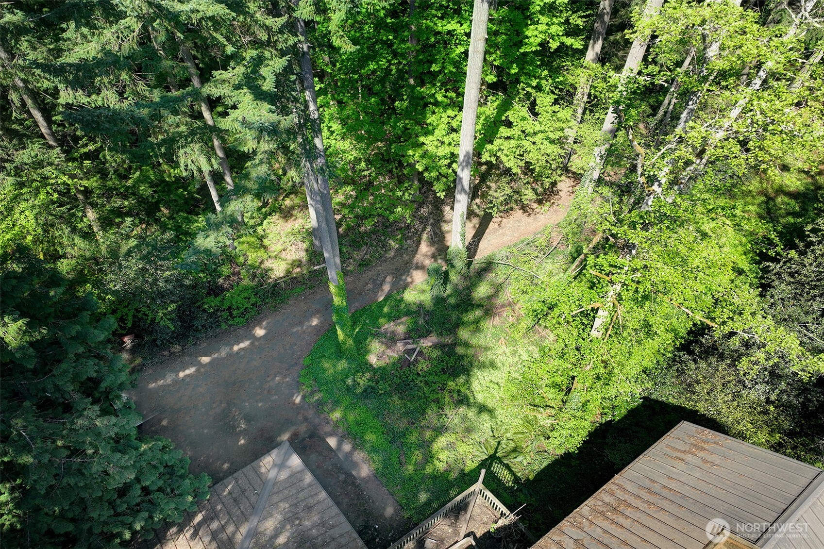 3815 131st Avenue NE, Bellevue, WA 98005-1306