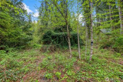 51223 195th Place SE, Index, WA 98256 - Photo 12