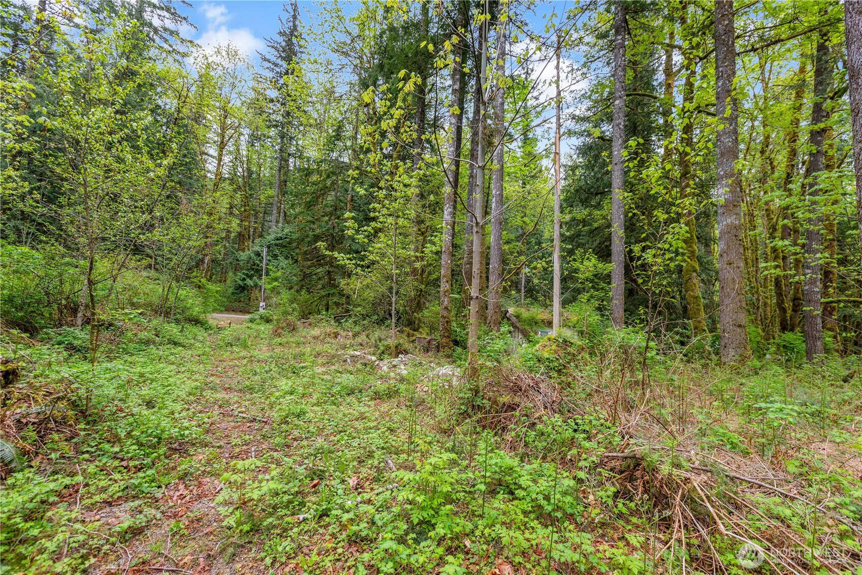 51223 195th Place SE, Index, WA 98256