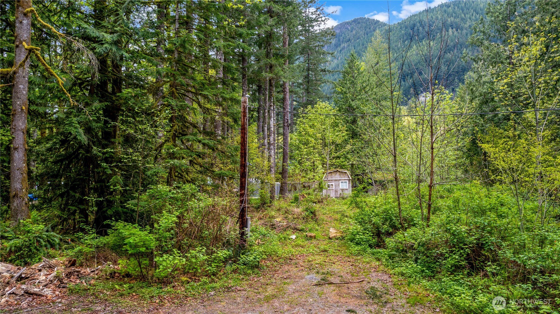 51223 195th Place SE, Index, WA 98256