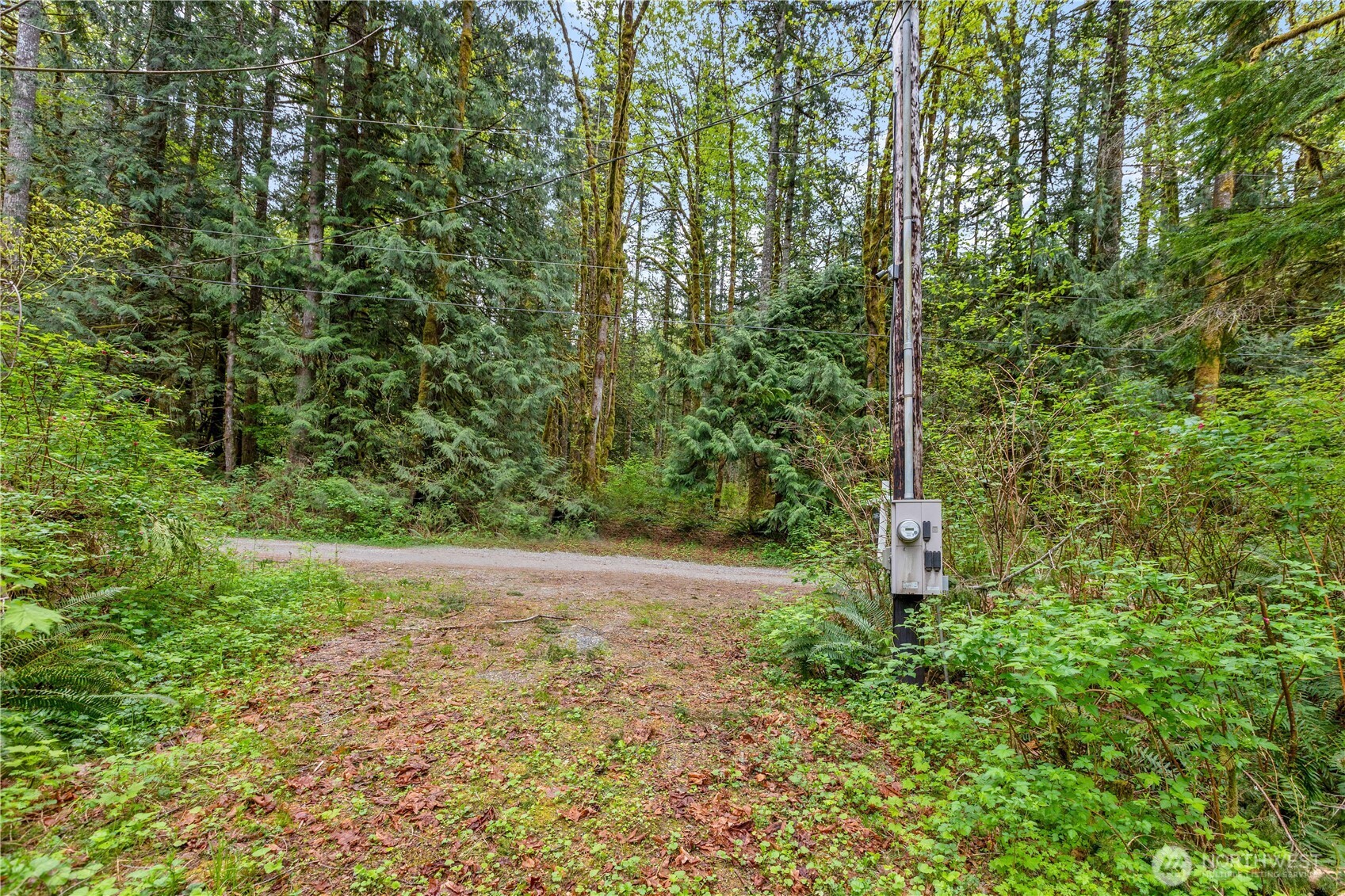 51223 195th Place SE, Index, WA 98256