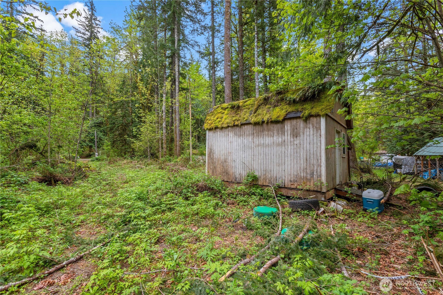 51223 195th Place SE, Index, WA 98256