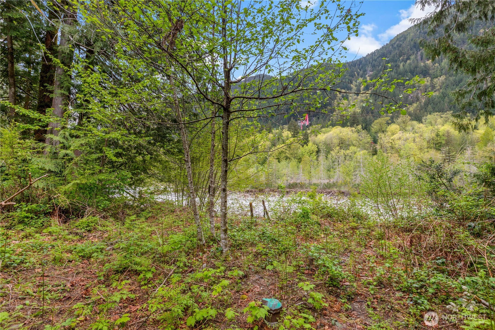 51223 195th Place SE, Index, WA 98256