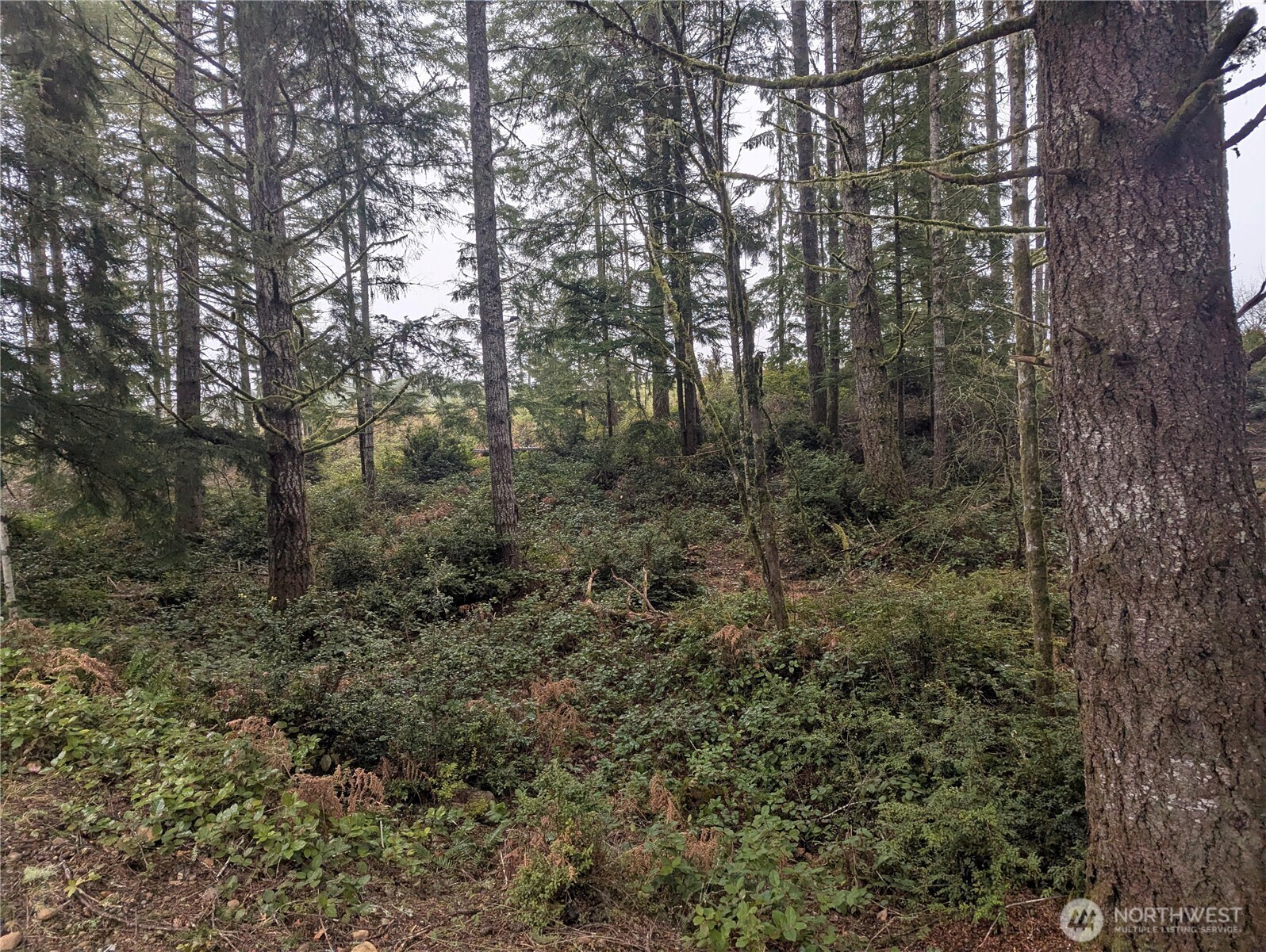 161 E Hemlock Lane , Union, WA 98592
