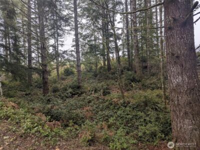 161 E Hemlock Lane , Union, WA 98592
