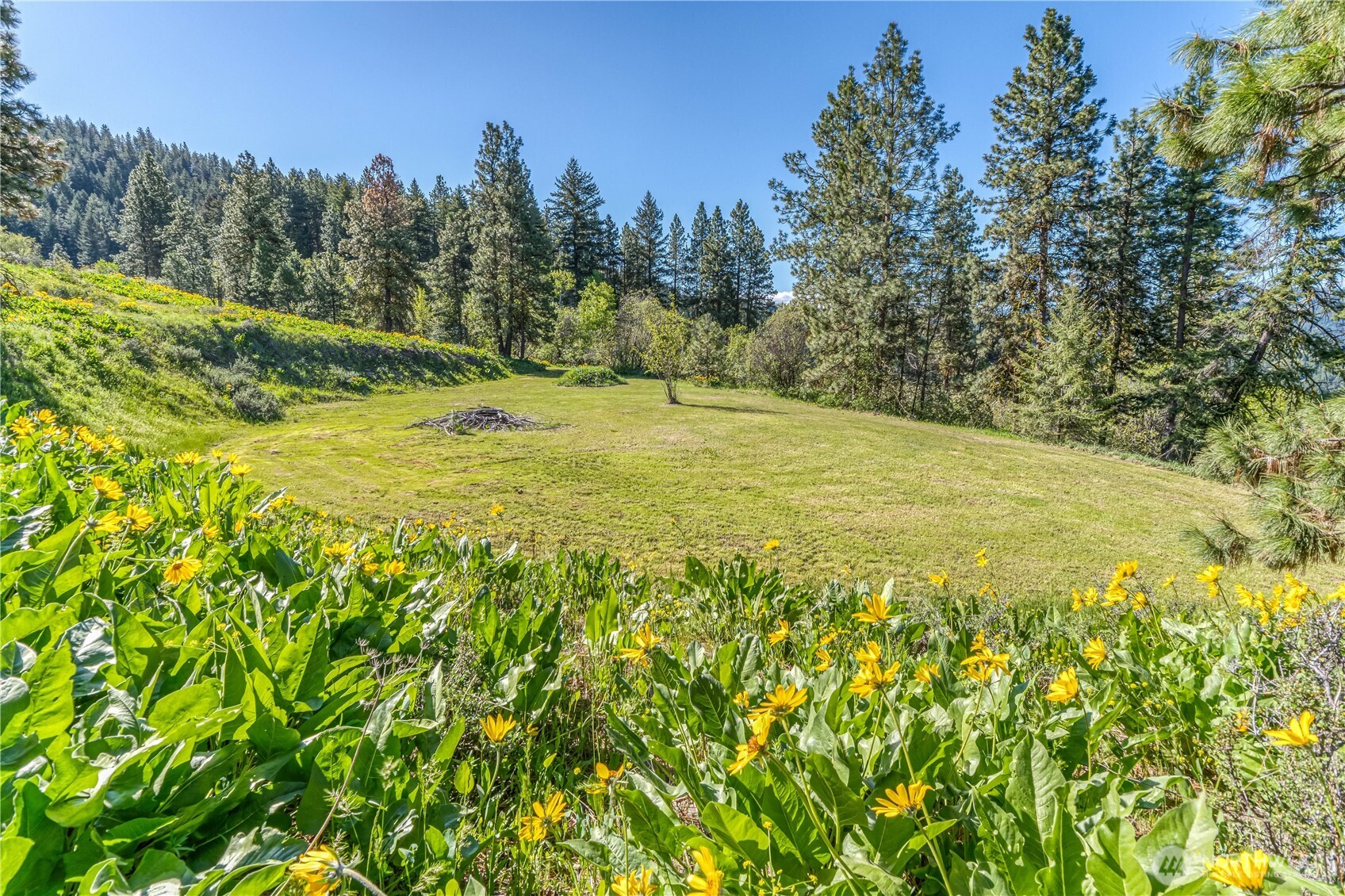 0 Sky Meadows Road , Cashmere, WA 98815