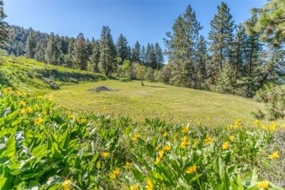 0 Sky Meadows Road , Cashmere, WA 98815 - Photo 2