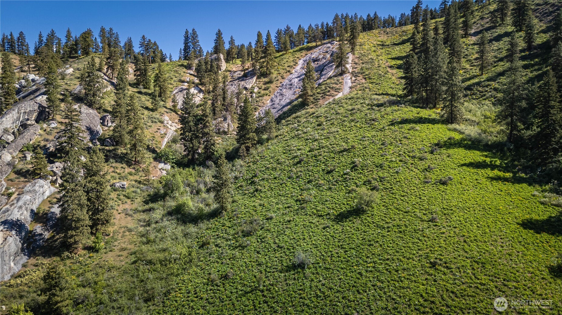 0 Sky Meadows Road , Cashmere, WA 98815