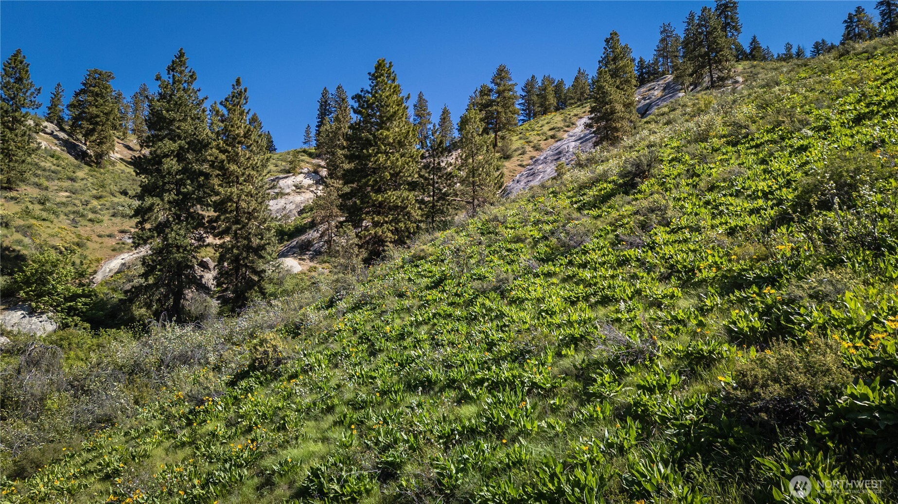 0 Sky Meadows Road , Cashmere, WA 98815