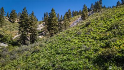 0 Sky Meadows Road , Cashmere, WA 98815 - Photo 13