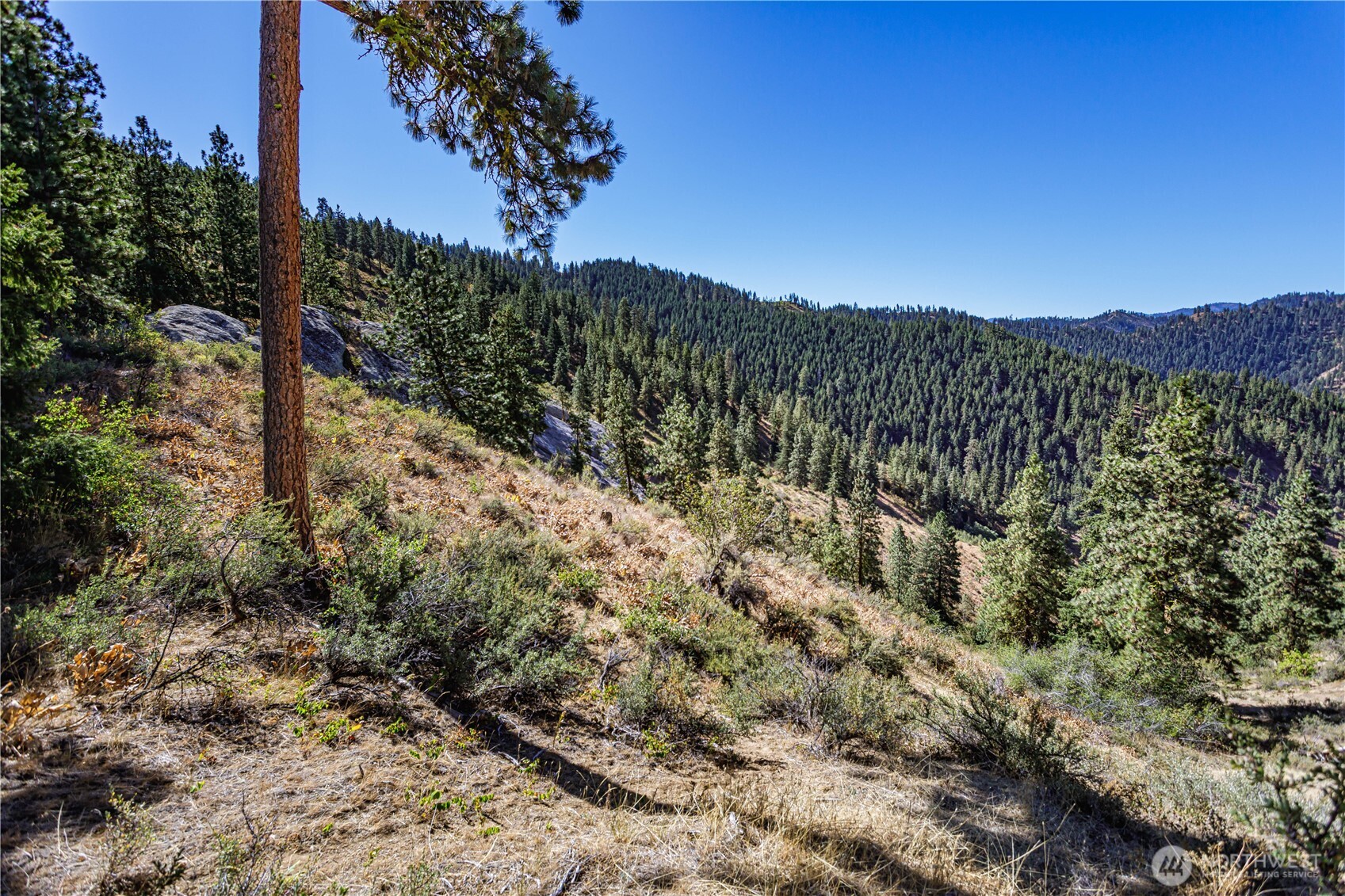 0 Sky Meadows Road , Cashmere, WA 98815