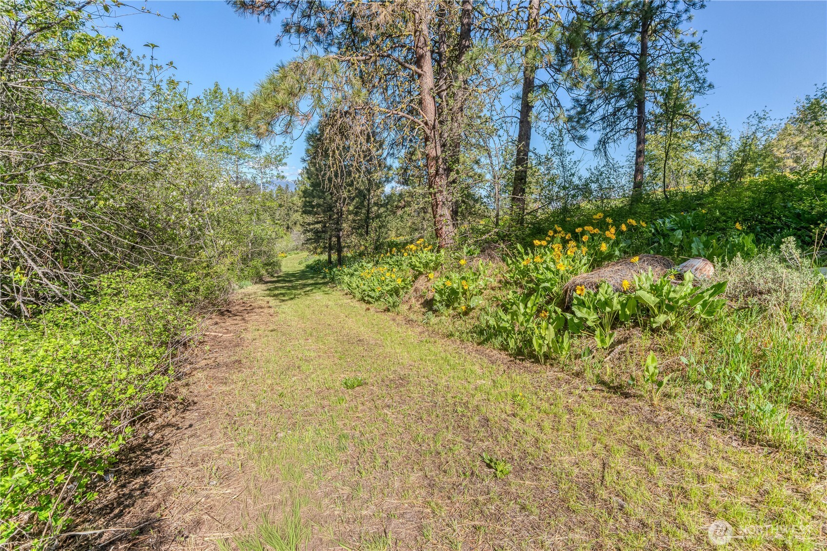 0 Sky Meadows Road , Cashmere, WA 98815