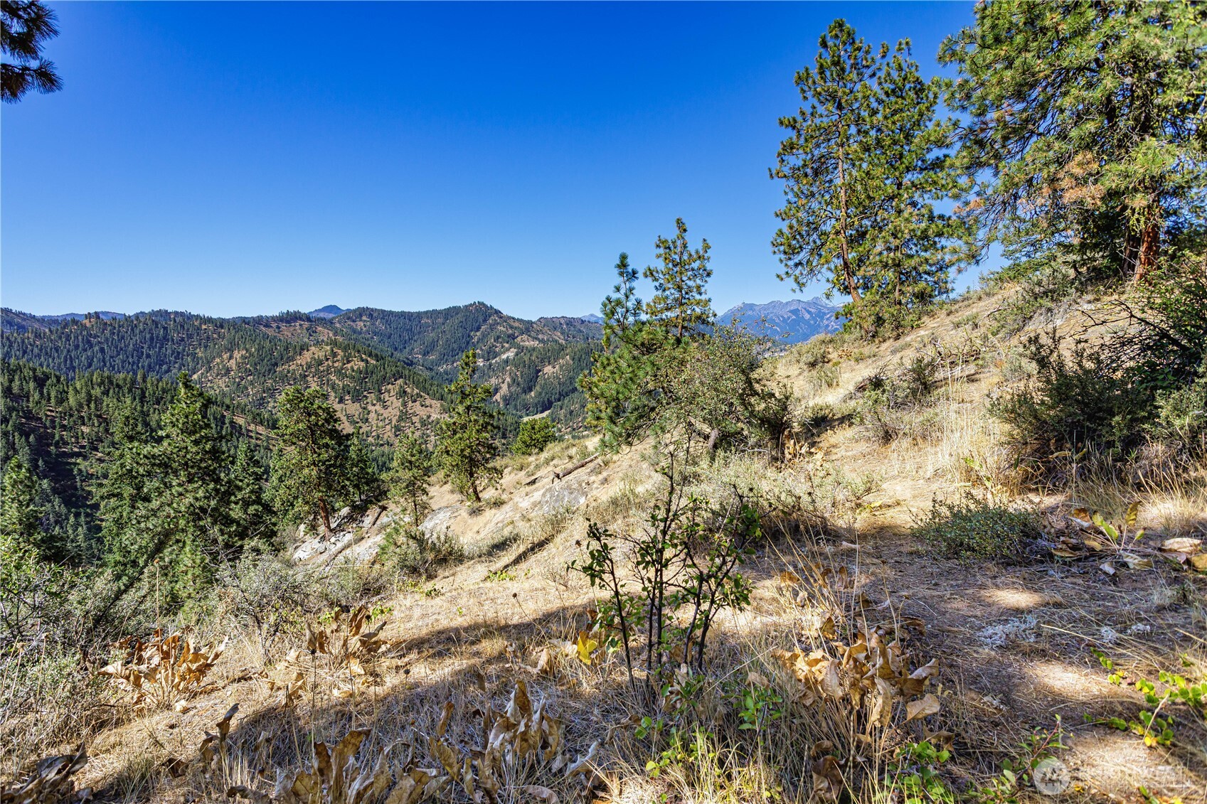 0 Sky Meadows Road , Cashmere, WA 98815