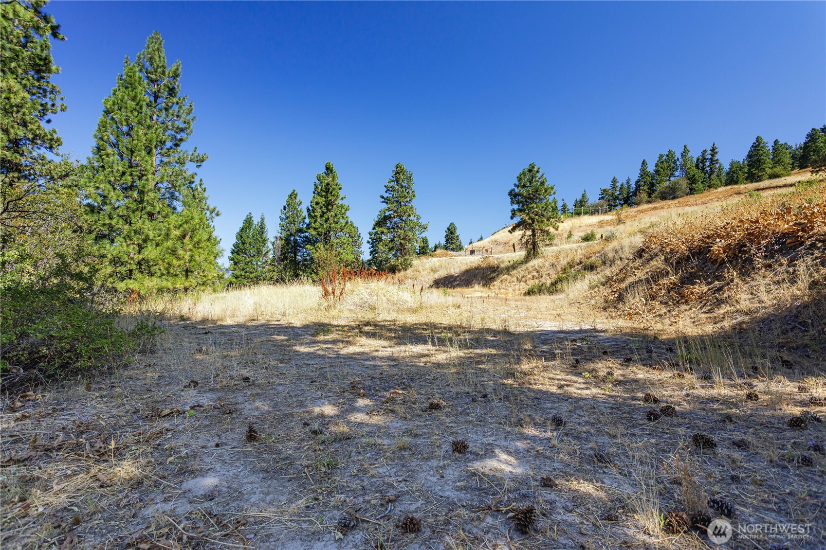 0 Sky Meadows Road , Cashmere, WA 98815