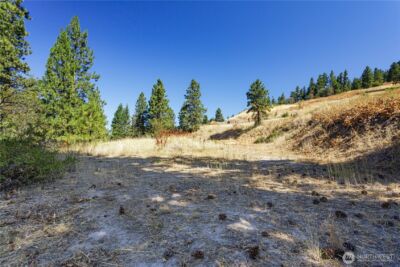 0 Sky Meadows Road , Cashmere, WA 98815 - Photo 28
