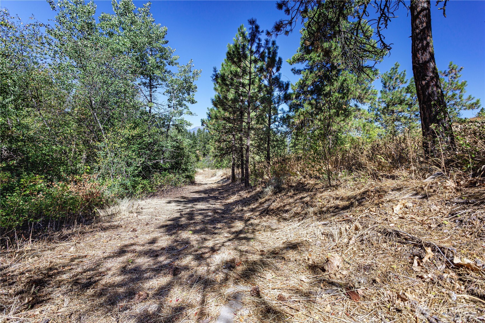 0 Sky Meadows Road , Cashmere, WA 98815
