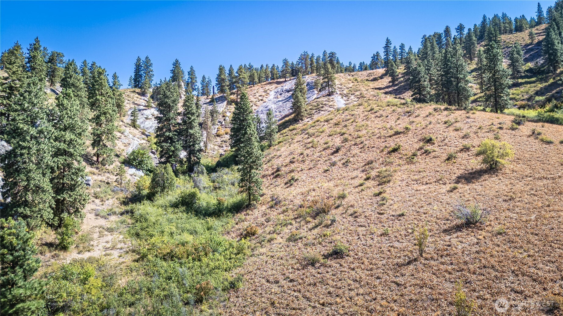 0 Sky Meadows Road , Cashmere, WA 98815