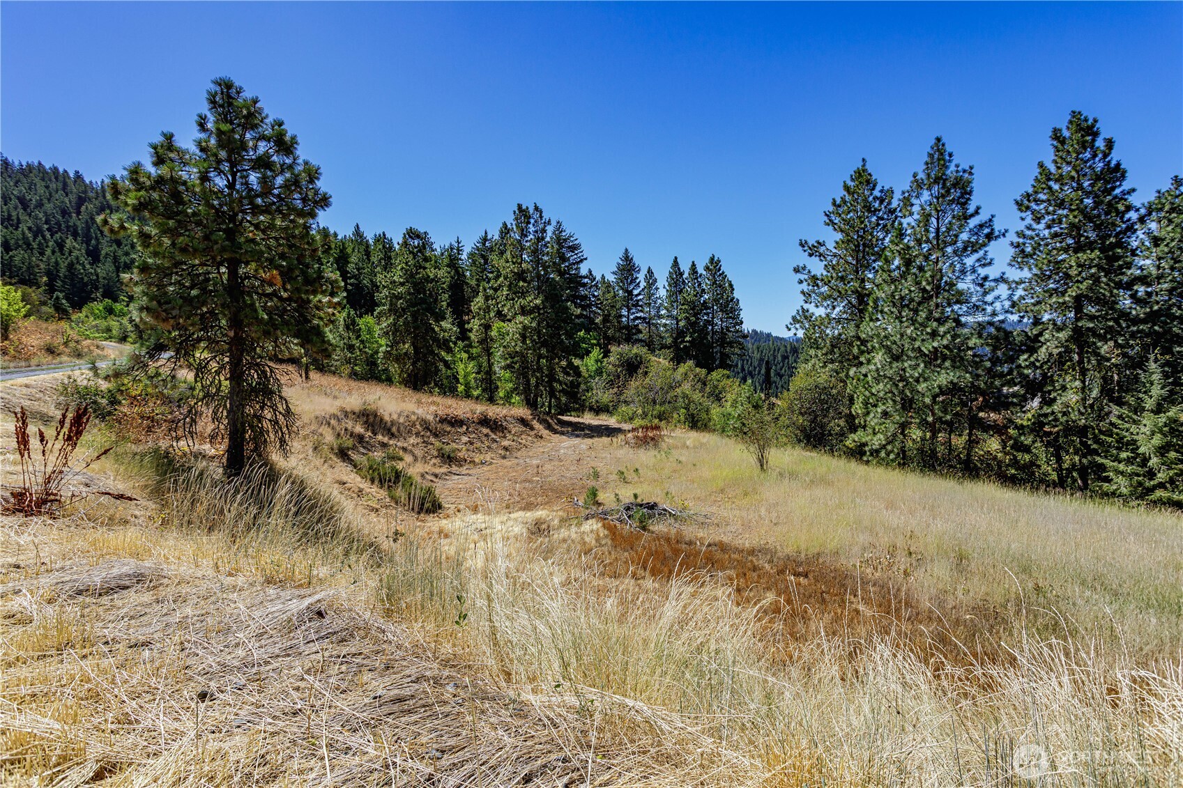 0 Sky Meadows Road , Cashmere, WA 98815