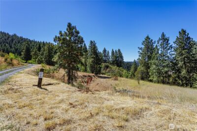 0 Sky Meadows Road , Cashmere, WA 98815 - Photo 38