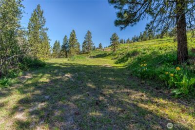 0 Sky Meadows Road , Cashmere, WA 98815 - Photo 5