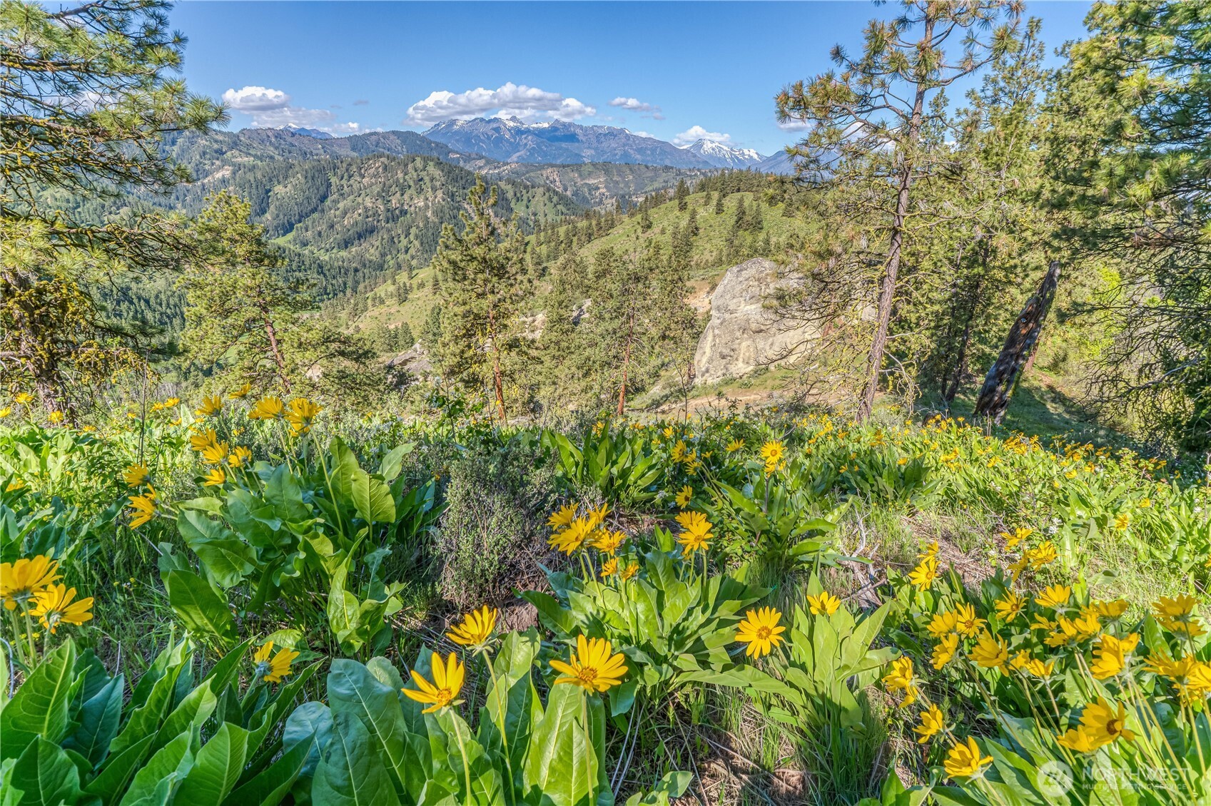 0 Sky Meadows Road , Cashmere, WA 98815