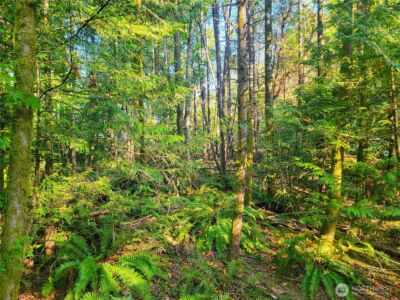1858 NE McWilliams Road , Bremerton, WA 98311 - Photo 9