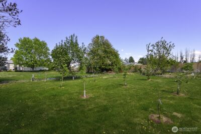 6293 Road 3.3 NE, Moses Lake, WA 98837 - Photo 12