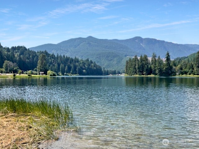 45153 Kalakala Trail #D-2, Concrete, WA 98237