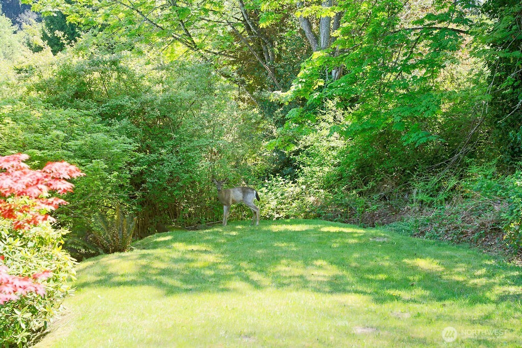525 Farragut Avenue NE, Port Orchard, WA 98366