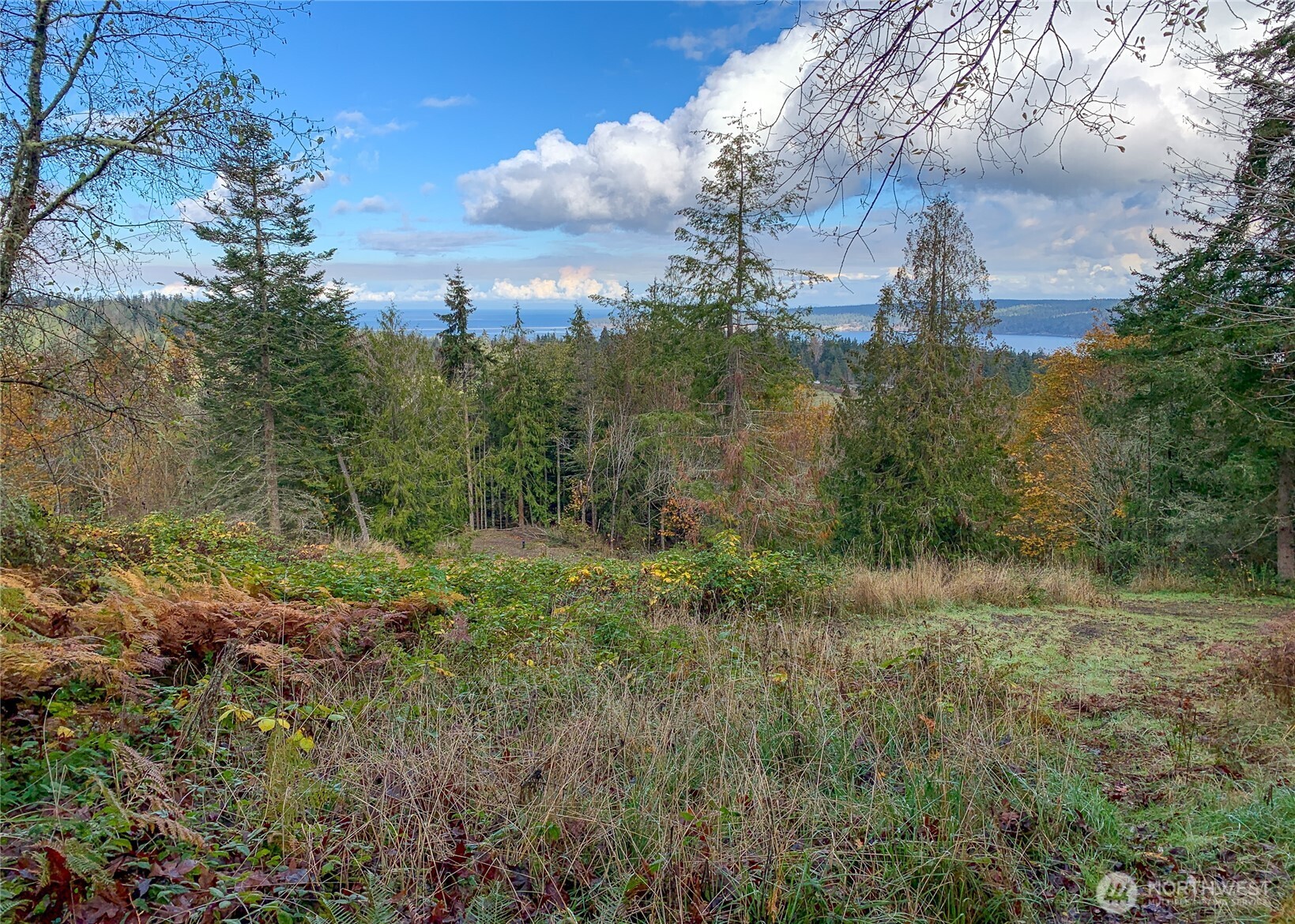 495 Louella Road , Sequim, WA 98382