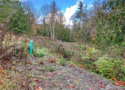495 Louella Road , Sequim, WA 98382 - Photo 18