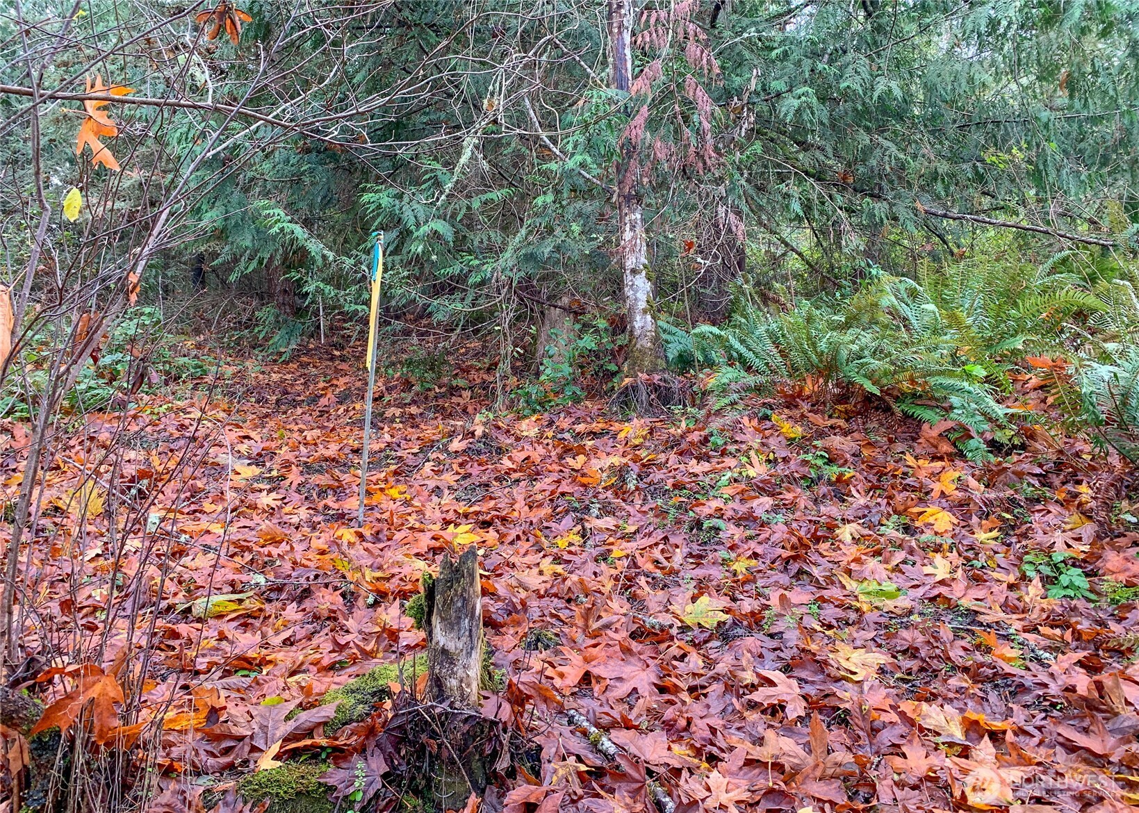 495 Louella Road , Sequim, WA 98382