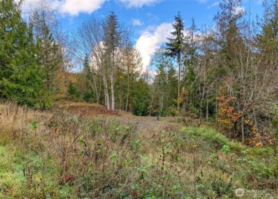 495 Louella Road , Sequim, WA 98382 - Photo 20